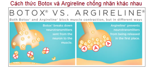 Botox và Argireline điều trị nhăn khác nhau chỗ nào - Y Khoa Kim Minh