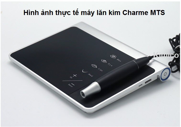 May xăm, may lan kim Charme Kim Minh - ban tai tp hochiminh