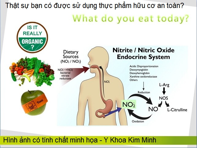 May kiem tra du luong thuoc khang sinh nitrate nitrit trong rau cu qua greentest Y Khoa Kim Minh