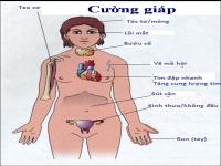 Thuốc trị bướu cổ và bệnh Basedow Thuốc trị bướu cổ và bệnh Basedow