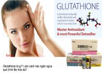 Glutathione là gì? Glutathione là gì?