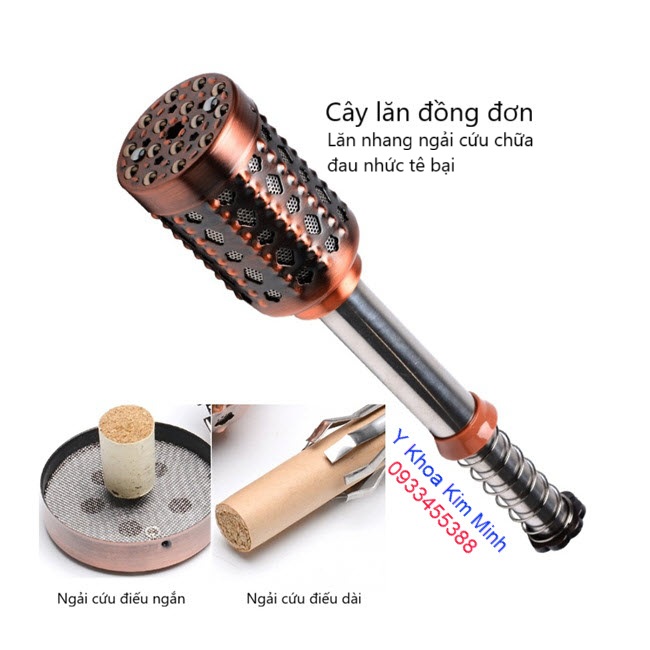 Cây lăn đồng đơn trị đau nhức tê bại toàn thân LD-201