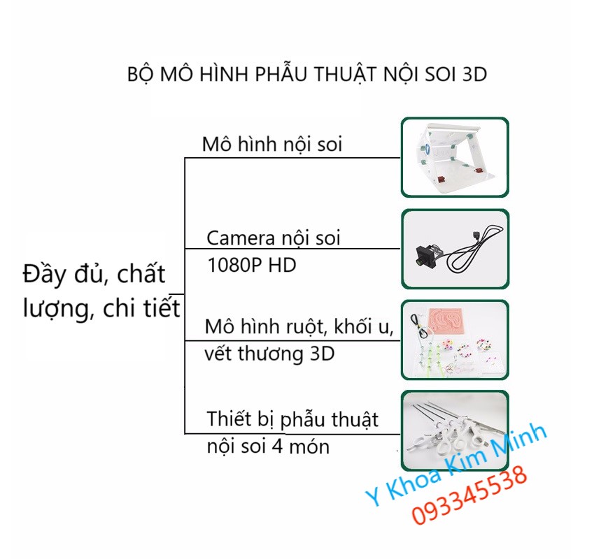 Bộ mô hình thực hành phẫu thuật nội soi 3D bán ở Tp.HCM