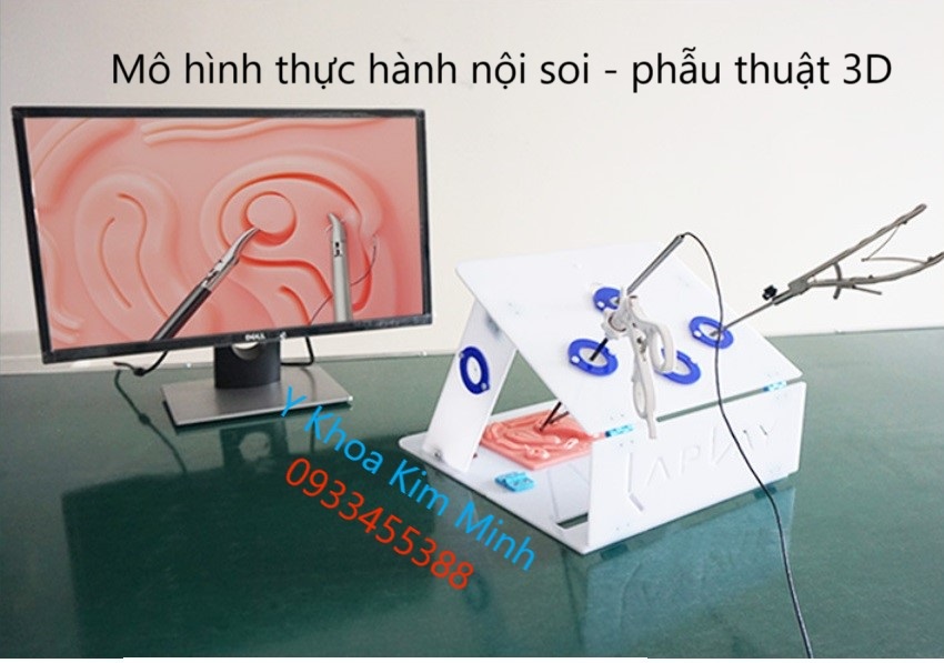 Mô hình đào tạo nôi soi cho sinh viên y khoa thực tập