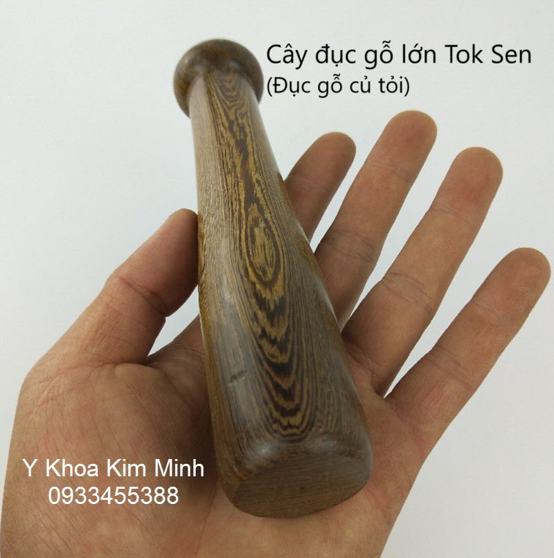 Cây đục gỗ lớn Tok Sen bán ở Tp.HCM