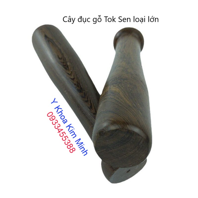 Cây đục gỗ lớn Tok sen dùng trị liệu giải cơ lớn