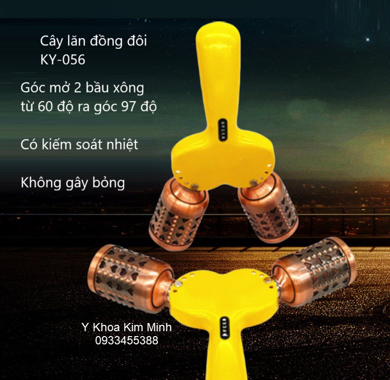 Cây lăn ngải cứu bằng đồi 2 bầu bán ở Tp.HCM