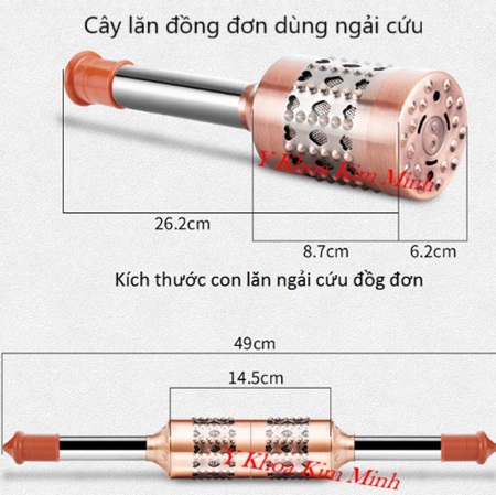 Cây lăn đồng đơn dùng ngải cứu điều trị đau nhức do phong thấp, nhiễm phong hàn, viêm lạnh cơ thể, đau nhức cơ tay chân
