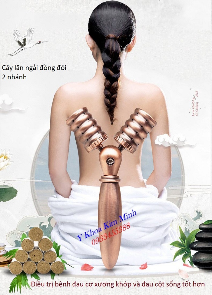 Cây lăn ngải cứu đồng đôi 2 nhánh bán tại Tp Hồ Chí Minh dùng chữa đau cơ xương khớp và cột sống - Y khoa Kim Minh