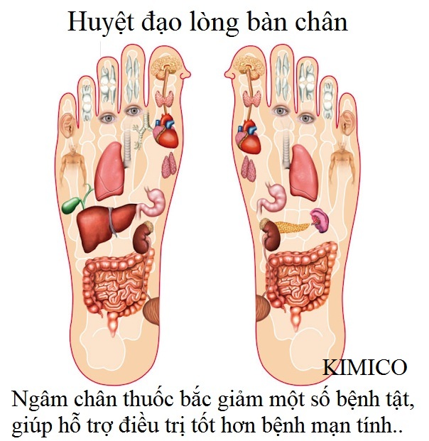 Ngâm chân bằng bột thuốc bắc giúp chữa một số bệnh cơ xương khớp, cột sống, gan thận tim - Y khoa Kim Minh
