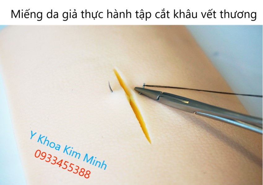 Da giả thực hành tập cắt và khâu vết thường dung cho sinh viên y khoa thực tập