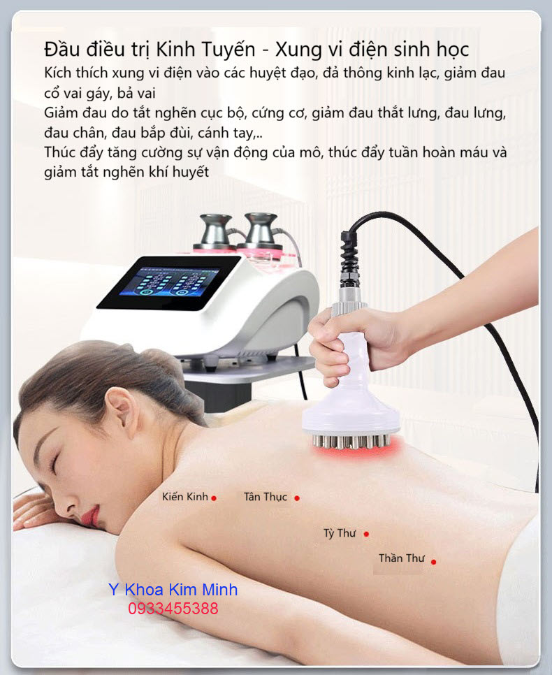 Đầu điều trị kinh tuyến của máy điện di sinh học DDS 5 chức năng