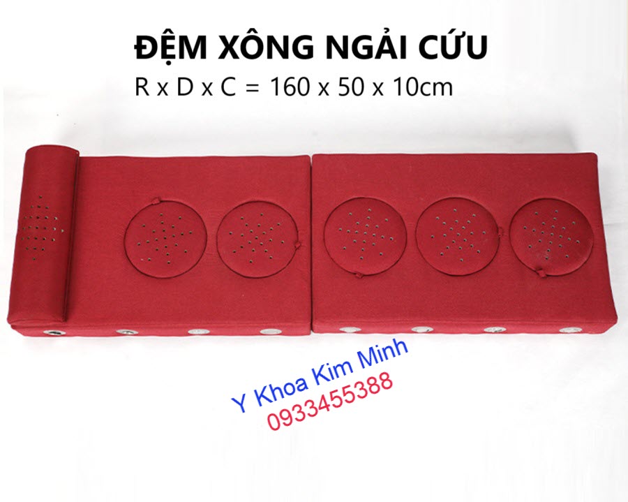 Đệm xông ngải cứu trị liệu D x R x C = 160 x 50 x 10cm