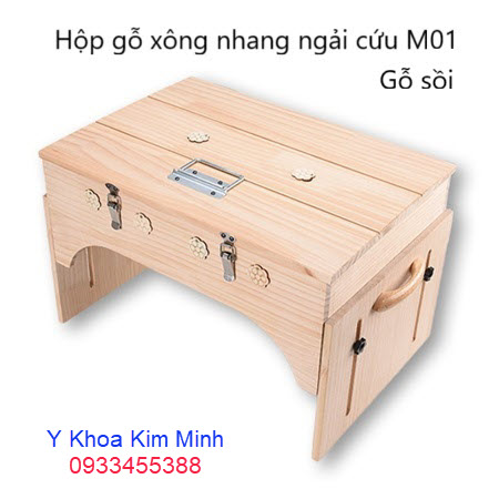 Hộp xông nhang ngải cứu trị liệu đau lưng, đau cổ vai gáy M01