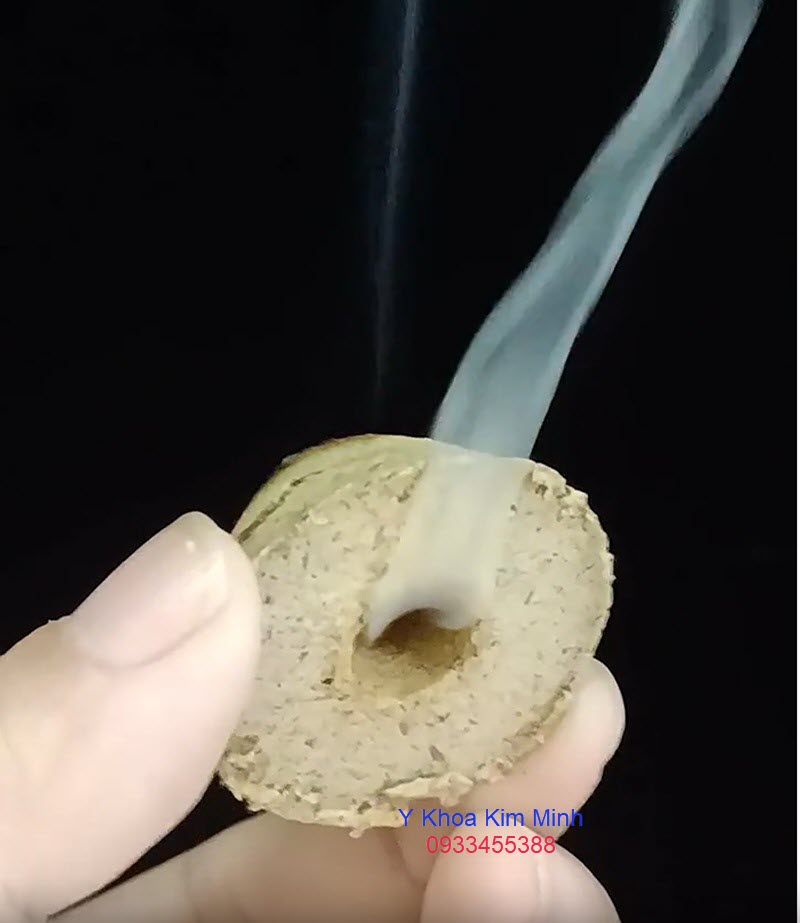 Hướng dẫn sử dụng ngải cứu viên có lỗ