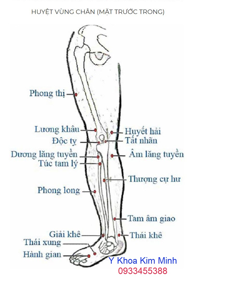 Huyệt chân bệnh đau thần kinh tọa 1