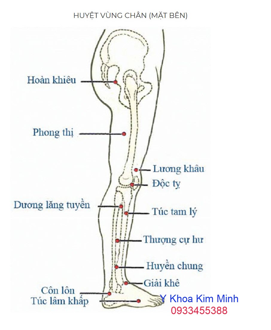 Huyệt chân gây đau bệnh viêm thần kinh tọa 2