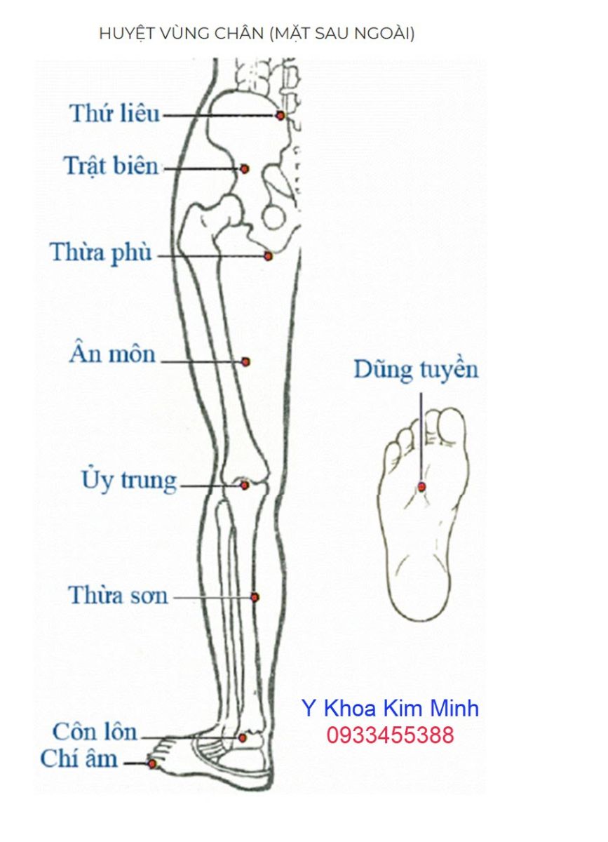 Huyệt chân gây đau bệnh thần kinh tọa 3