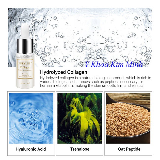 Huyết thanh Breylee Collagen serum xóa nhăn, làm mịn, căng bóng da - Y Khoa Kim Minh Huyết thanh collagen Breylee xóa nhăn, giữ ẩm, căng bóng da hiệu quả - Y khoa Kim Minh