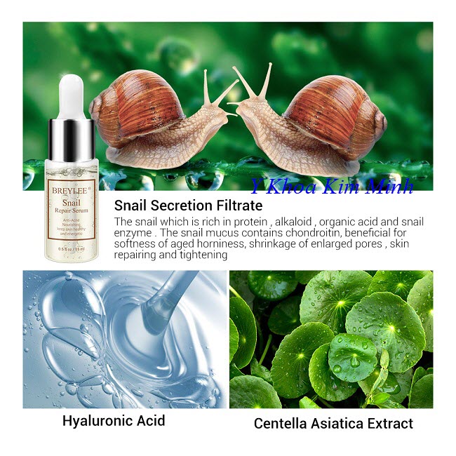Huyết thanh tế bào gốc ốc sên Snail Breylee Serum - Y Khoa Kim Minh Huyết thanh tế bào gốc ốc sên Breylee serum chuyên sửa chữa da tổn thương lão hóa - Y khoa Kim Minh