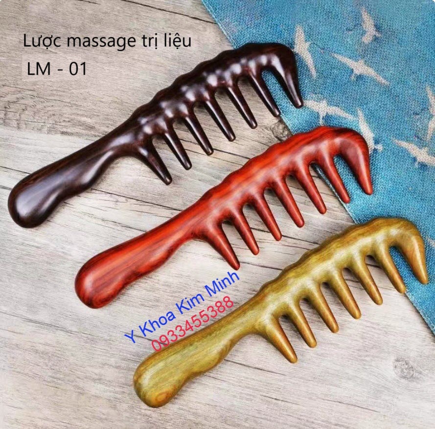 Lược massage trị liệu mã số LM-01