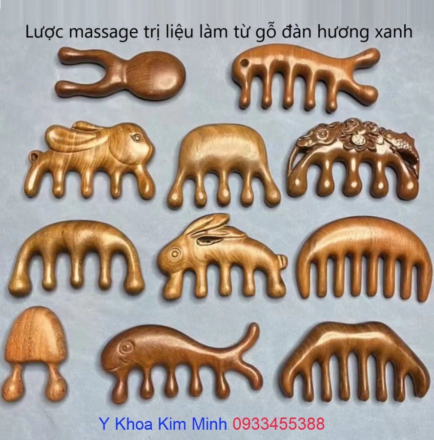 Lược massage trị liệu bằng gỗ bán ở Tp.HCM