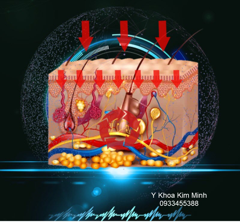 Máy Tertahertz ánh sáng tím kích hoạt tế bào, giảm ion dương, tăng ion âm để sửa chữa tế bào gốc, tăng tủy sống, phục hồi thần kinh vận động