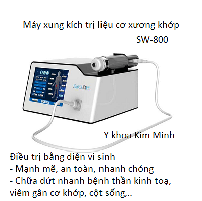 Máy xung kích trị liệu SW-800 - Y Khoa Kim Minh