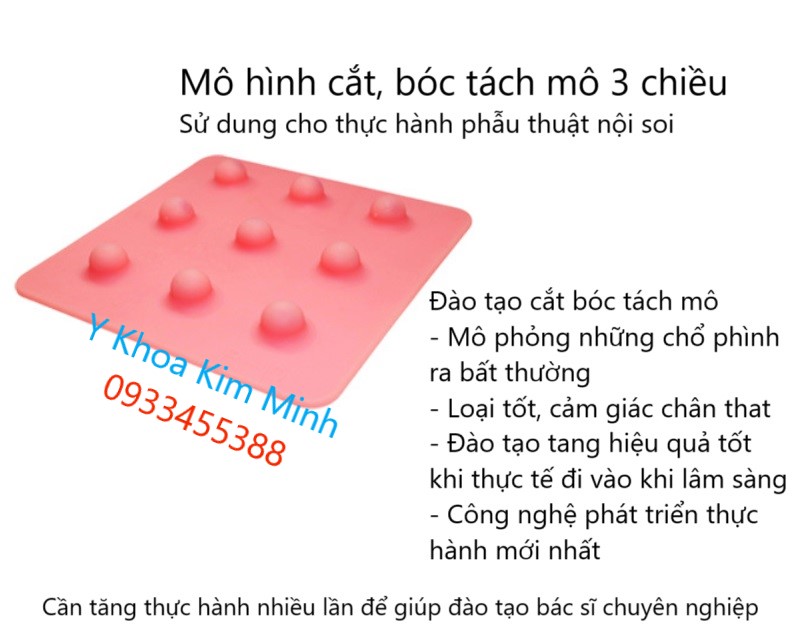 Mô hình cắt bóc tách mô 3D dùng trong phẫu thuật nội soi