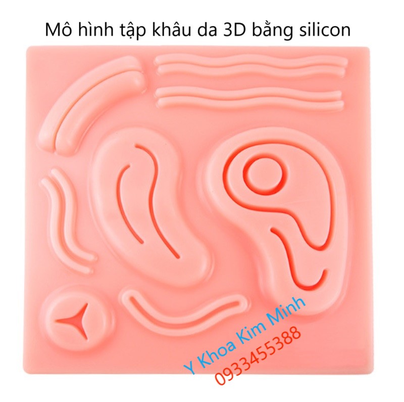 Mô hình da giả tập khâu 3D