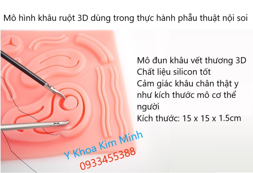 Mô hình ruột 3D dùng trong thực hành phẫu thuật nội soi