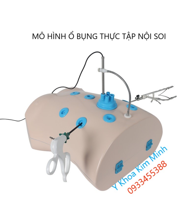 Mô hình ổ bụng giả dùng thực hành nội soi phẫu thuật y tế