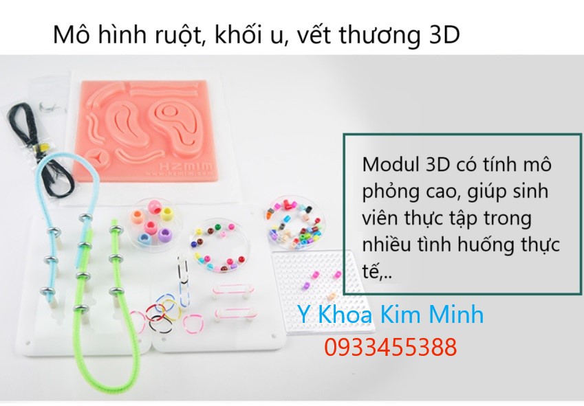 Mô hình ruột 3D dùng cho thực hành phẫu thuật nội soi sinh viên y dược