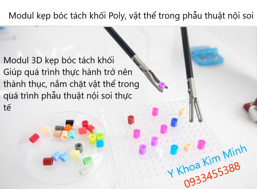 Modul 3D bóc tách kẹp vật thể nhỏ trong quá trình phẫu thuật nội soi thực hành của sinh viên y khoa