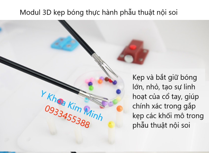 Modul 3D tập kẹp gắp bóng trong thực hành trong quá trình phẫu thuật nội soi