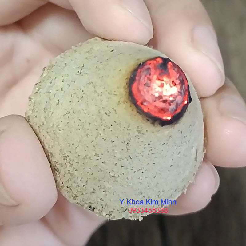 Ngải cứu viên có lỗ chất lượng cao