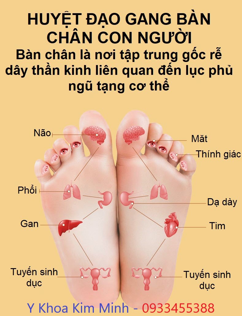 Ngâm chân thải độc thuốc bắc chữa một số bệnh ở lòng bàn chân con người