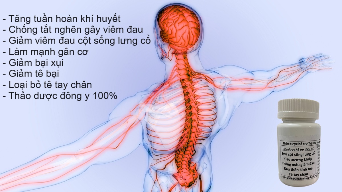 Thảo dươc giảm đau cột sống xương khớp