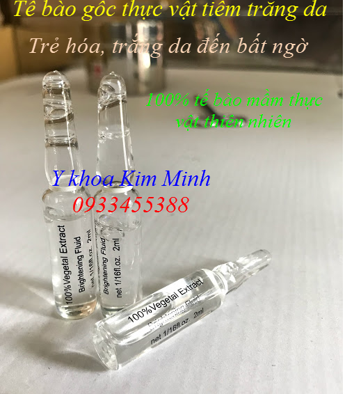 Tế bào gốc thực vật tiêm trắng sáng da - Y khoa Kim Minh Dùng tế bào gốc thực vật mầm Hyaluronic Acid tiêm trắng trẻ hóa da - Y khoa Kim Minh 0933455388